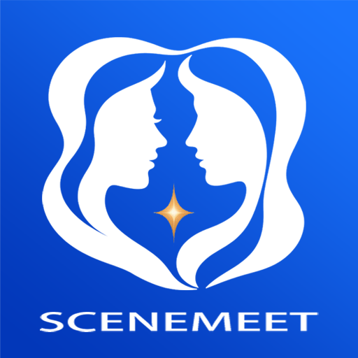 SceneMeet